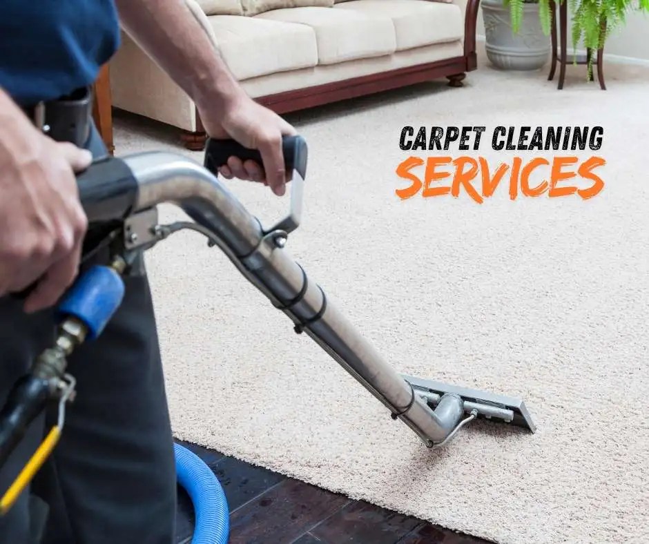 Carpet Cleaning Hallandale Beach (954) 5568667