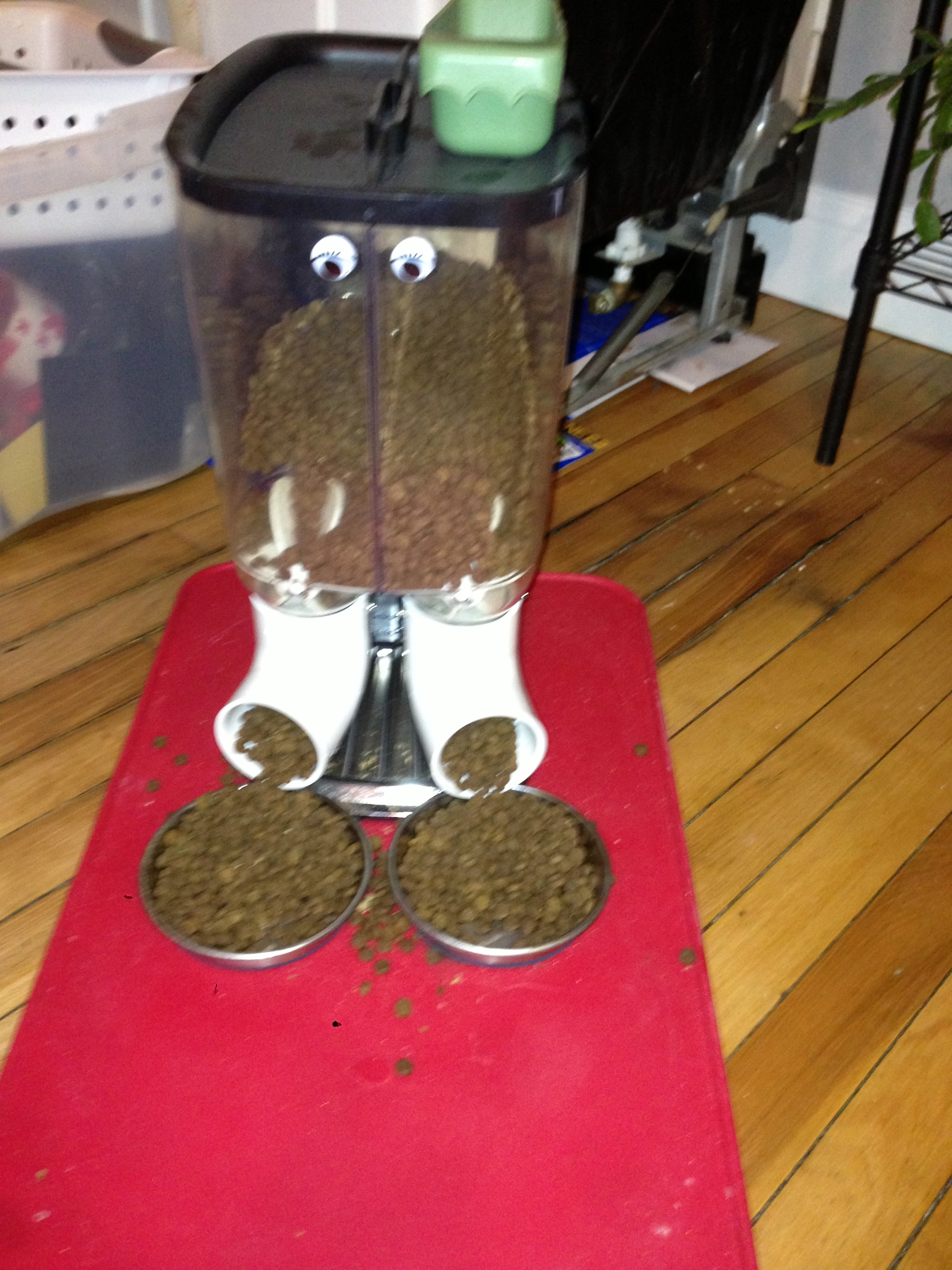 Raspberry Pi Power Cat Feeder Updates David Bryan's Blog