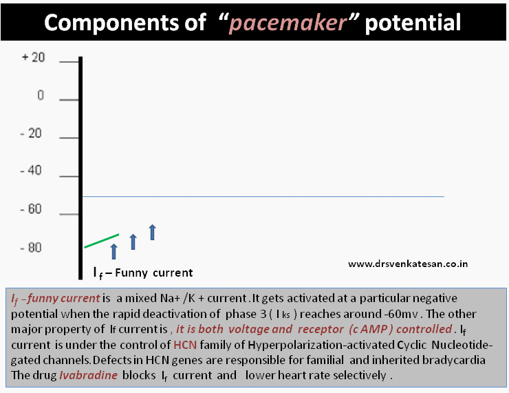 if funny current Dr.S.Venkatesan MD