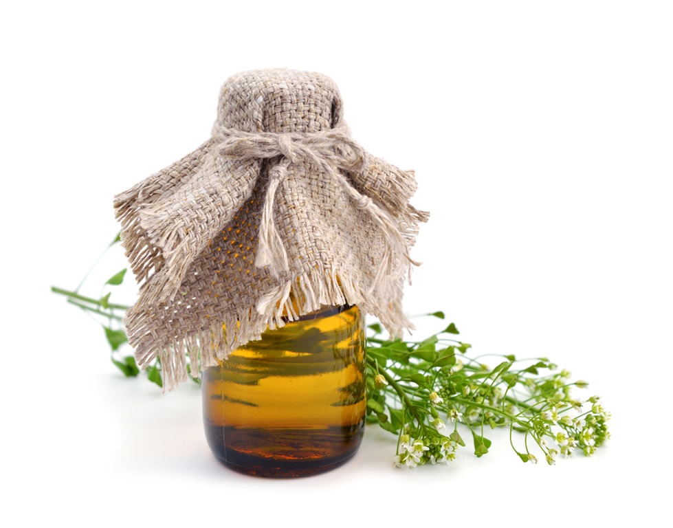 Shepherd’s Purse reduces Postpartum blood loss « Dr. Tori Hudson, N.D.