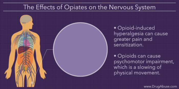 The Effects of Opiates on the Body