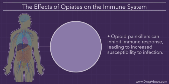 The Effects of Opiates on the Body