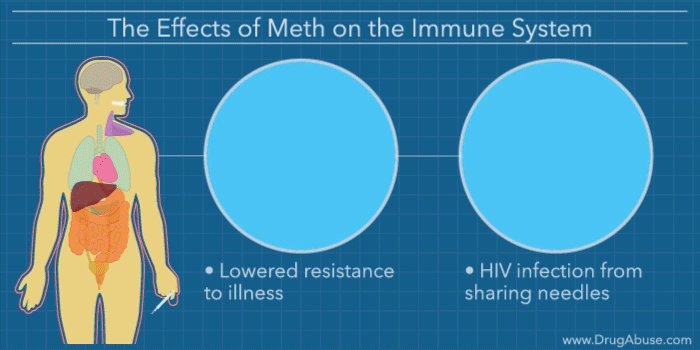 Effects of Meth on the Body What Does Meth Do to Your Body?