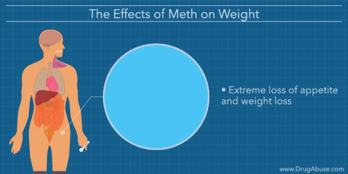 Effects of Meth on the Body What Does Meth Do to Your Body?