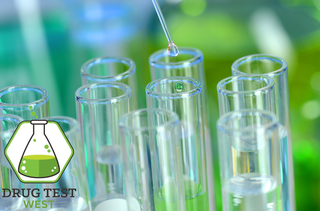 Drug Test West Drug and Alcohol Screening Tests Gunnison Colorado