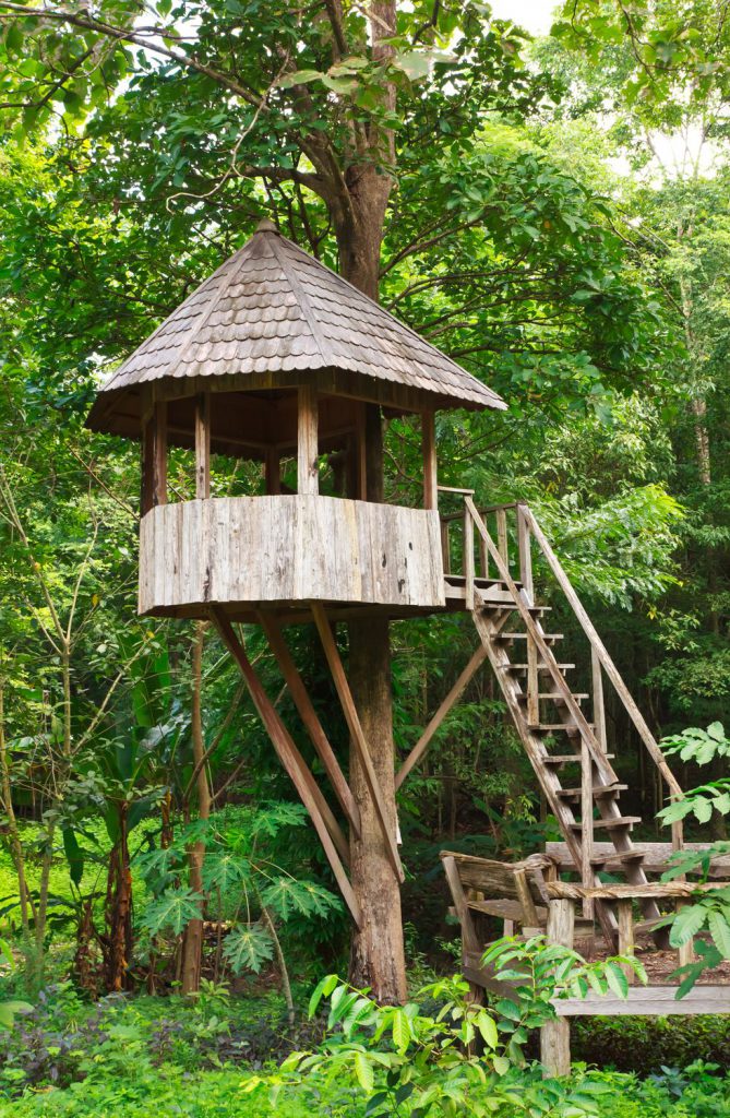 Simple Treehouse Design Ideas for Your Small Backyard