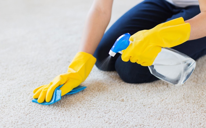 How to Keep Your Carpet Clean Tips and Tricks DruHomes