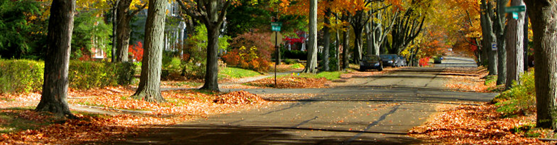 ORDINANCES Druid Hills