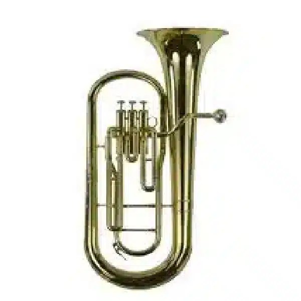 Baritone With Stainless Piston best price wind instruments