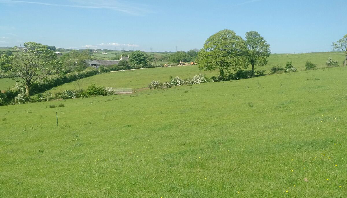 Oisliebrae Farm Stewarton Drumclog Plant