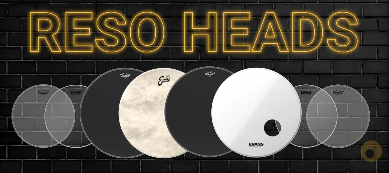 The Most Popular Bottom Drumheads Drum Intel