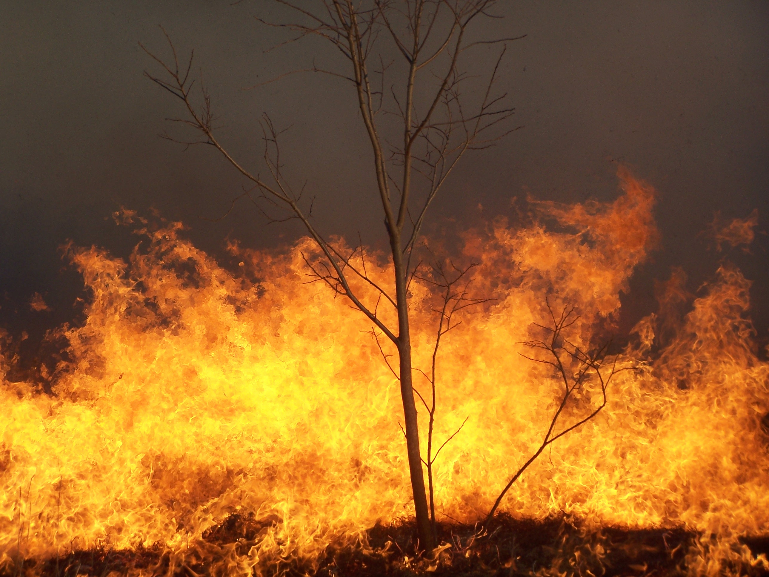 Drumright Fire Department