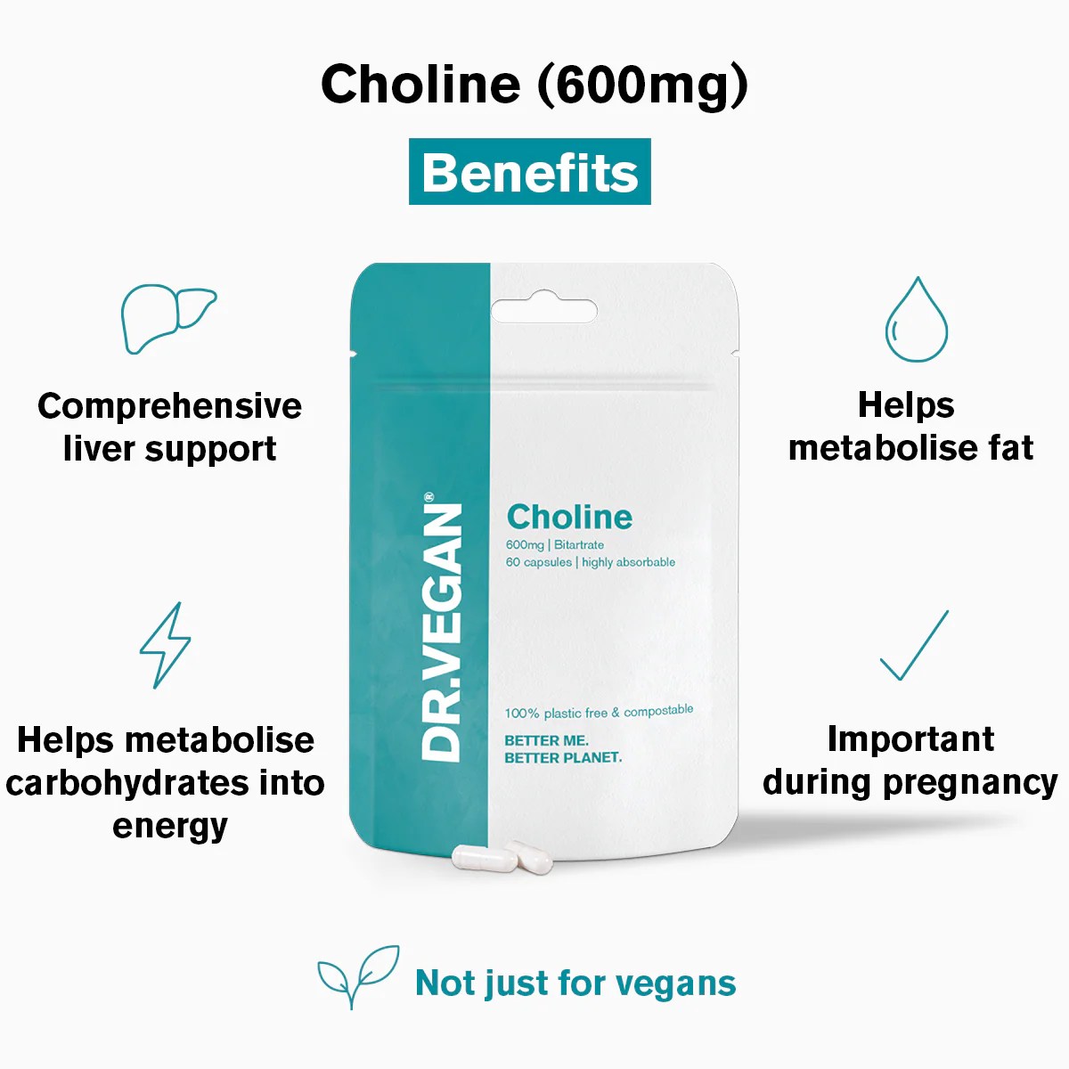 Choline Bitartrate 600mg Vegan Supplement DR.VEGAN