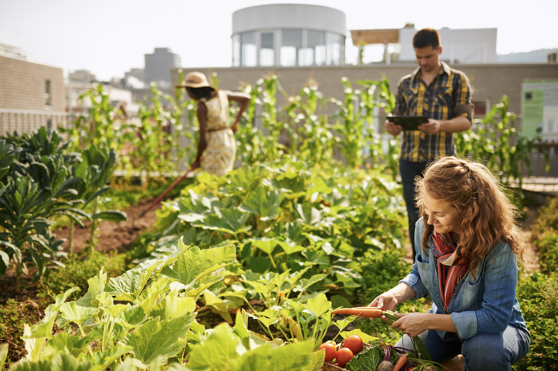 Planting Seeds of Sustainability This Spring Martinizing Dry Cleaning