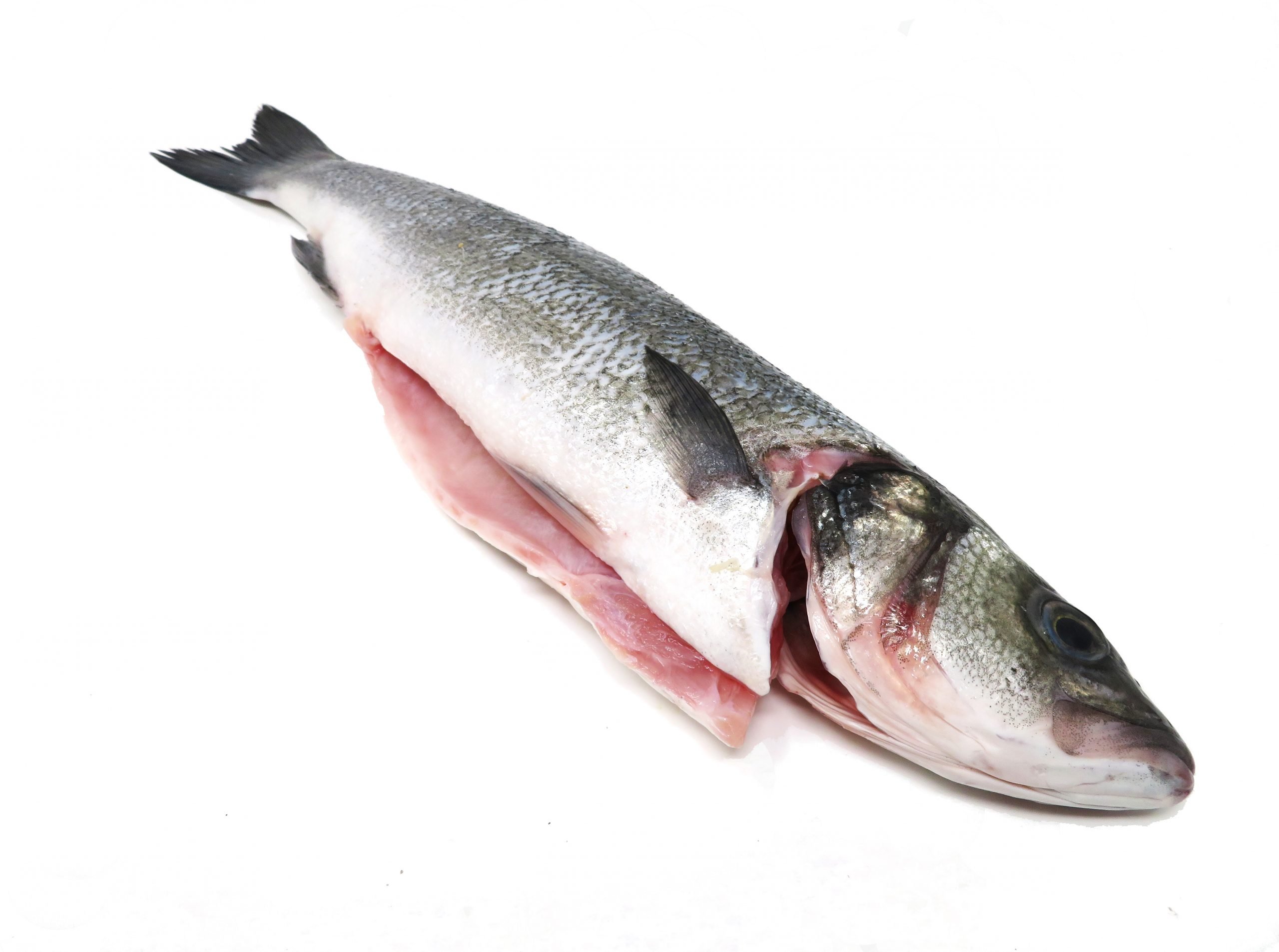 Branzino Sea Bass Dry Dock Fish