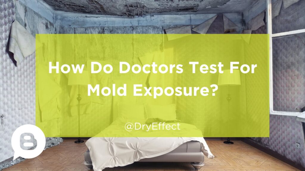 How Do Doctors Test For Mold Exposure Dry Effect Restoration of Cincinnati