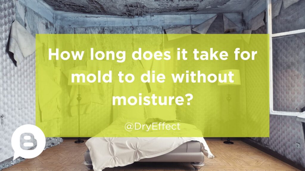 How long does it take for mold to die without moisture Dry Effect