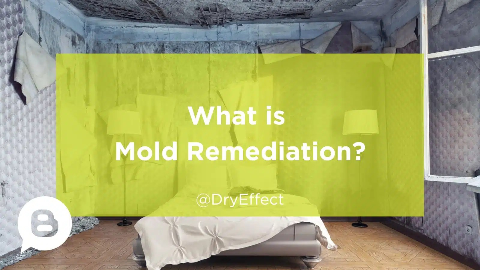 Discover What Is Mold Remediation? 5 Secrets Unveiled