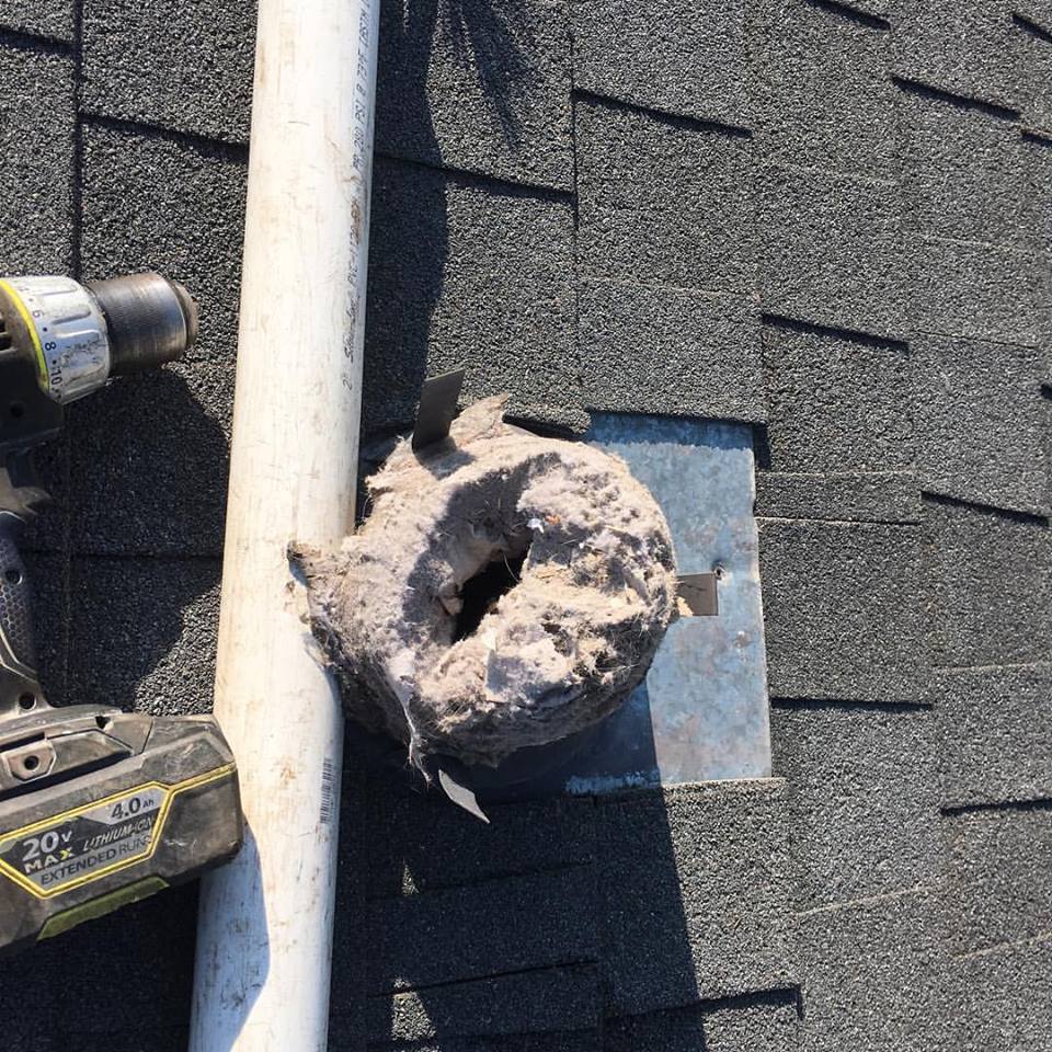 Dirty Dryer Vents Dryer Fighters