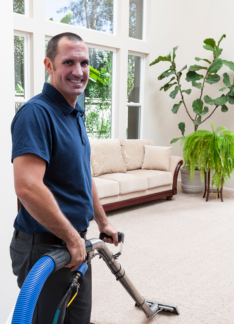 Carpet Cleaning Houston TX Stains Removal EcoFriendly