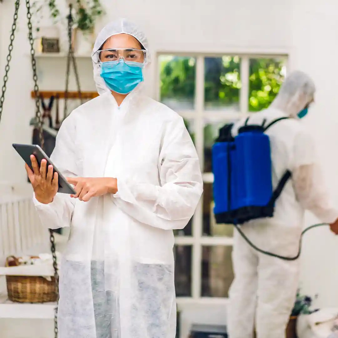 Disinfectant Service Dryer Vent Kings