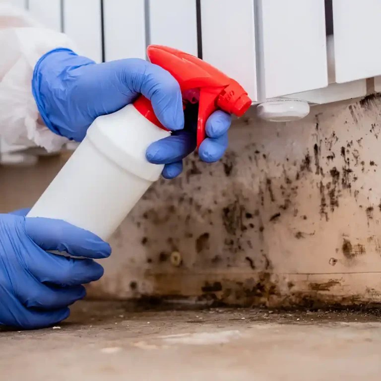 Professional Dryer Vent Cleaning Service Dryer Vent Kings