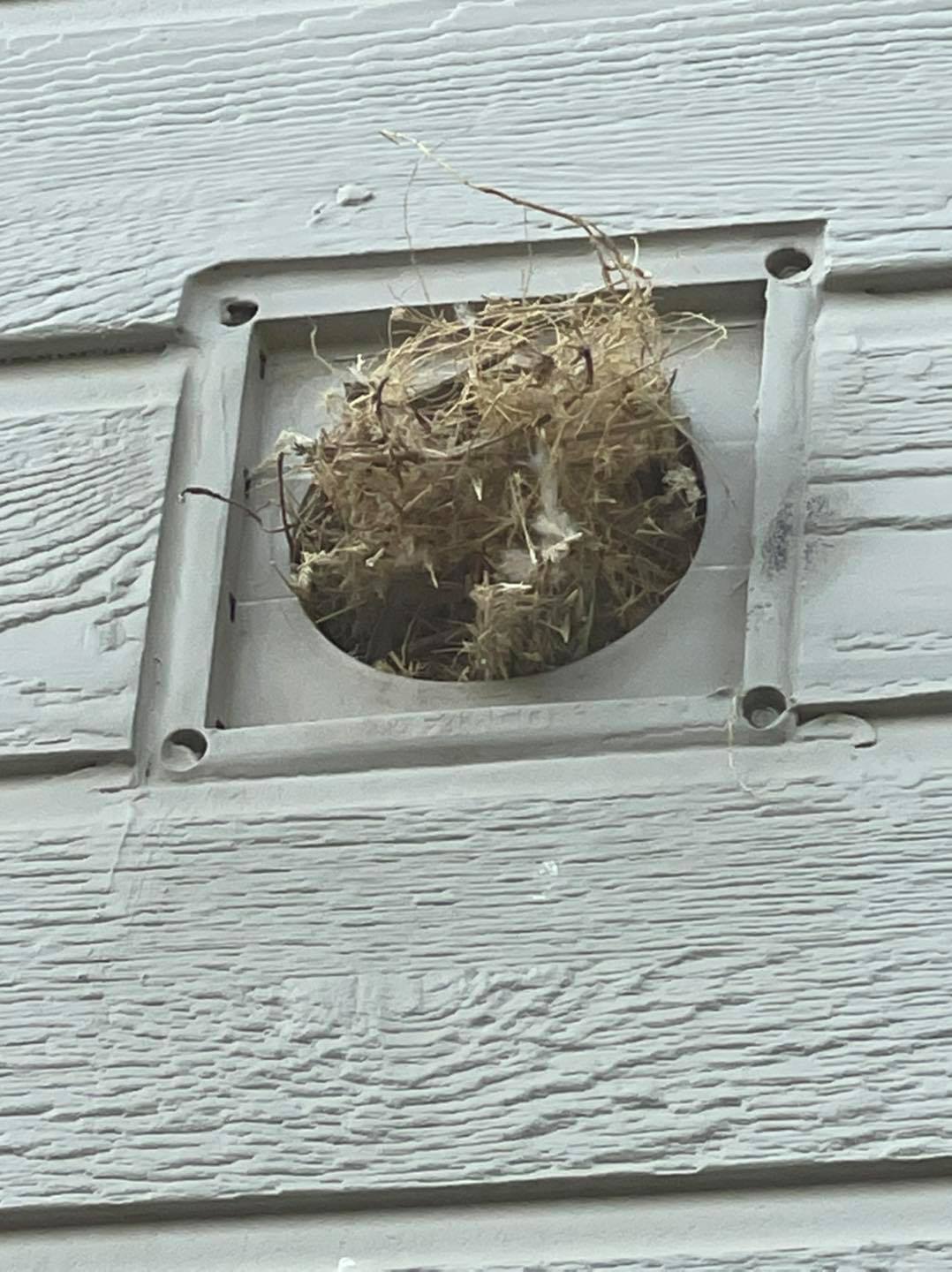 Dryer Vent Cleaning Boise Idaho Dryer on Fire