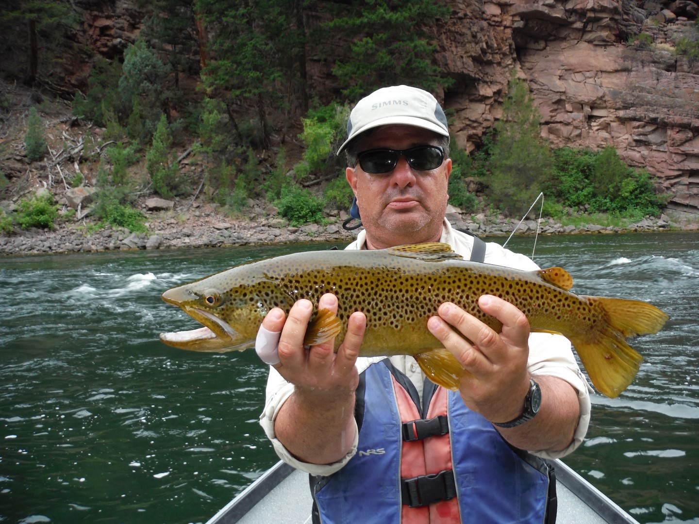 Big 24″ Brown on Utah’s Green River, A Section DRY FLY UTAH