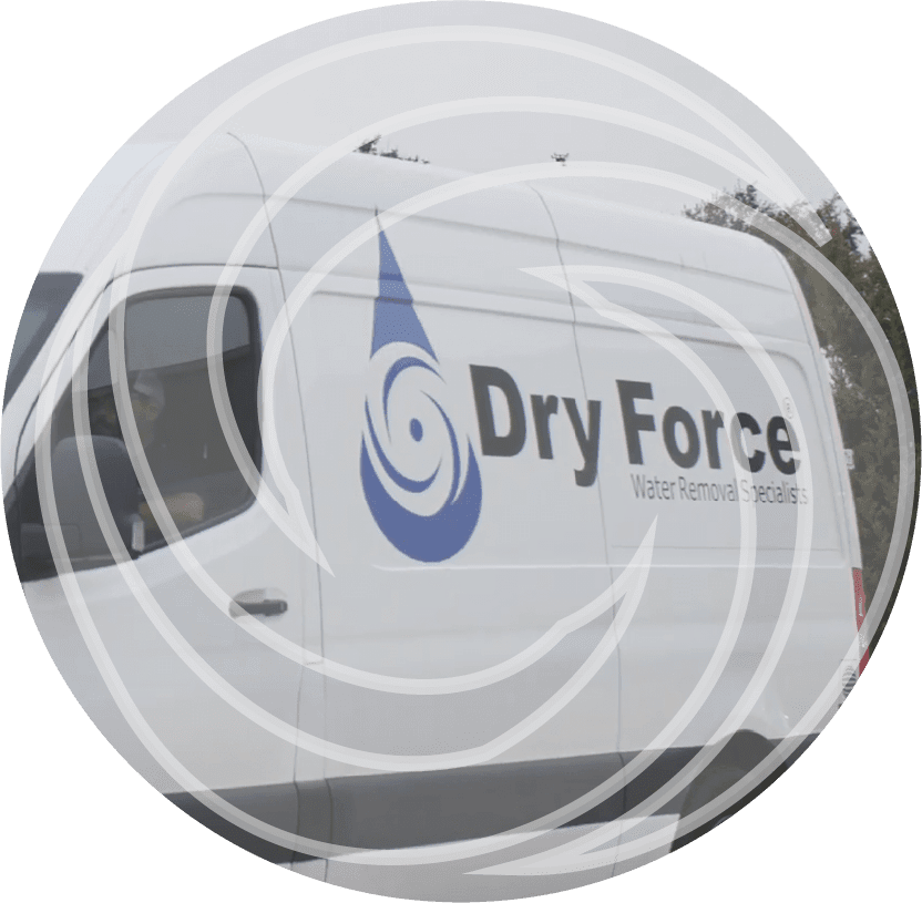 Dry Force Water Damage Restoration Services in Dallas, TX