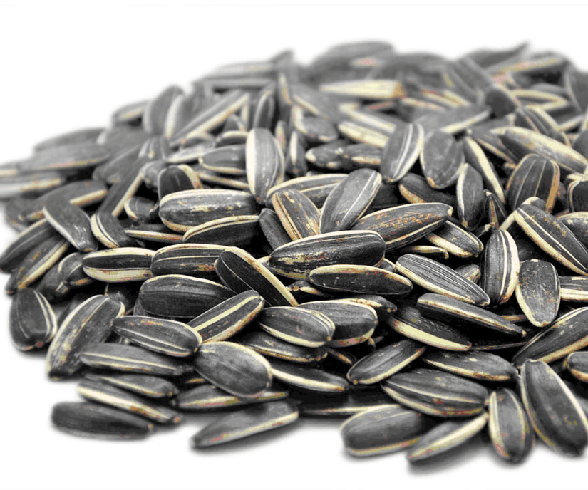 SUNFLOWER SEEDS Dry Fruits Mandy