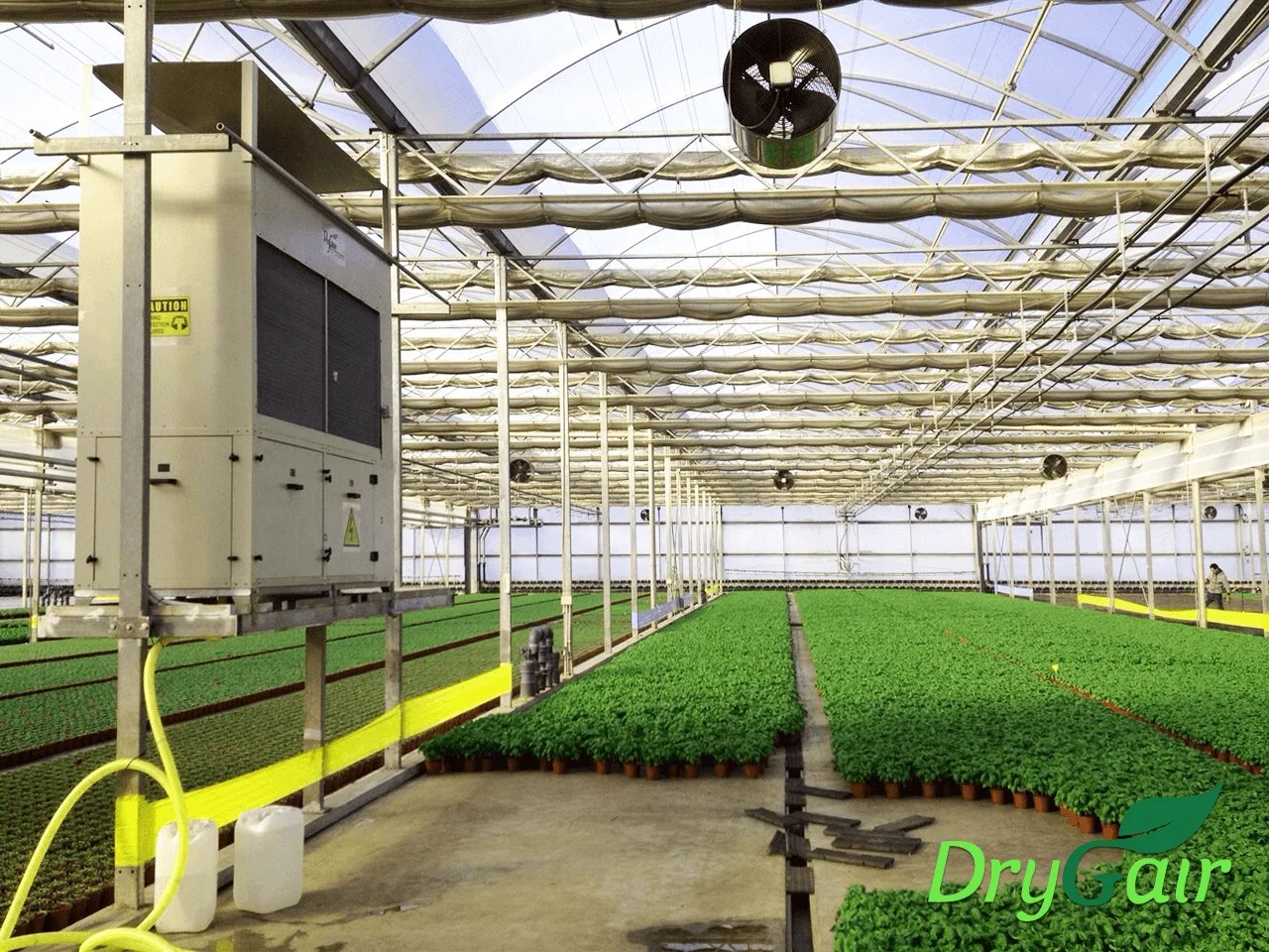 Ventilation, Dehumidification or Fans? Reducing Greenhouse Humidity