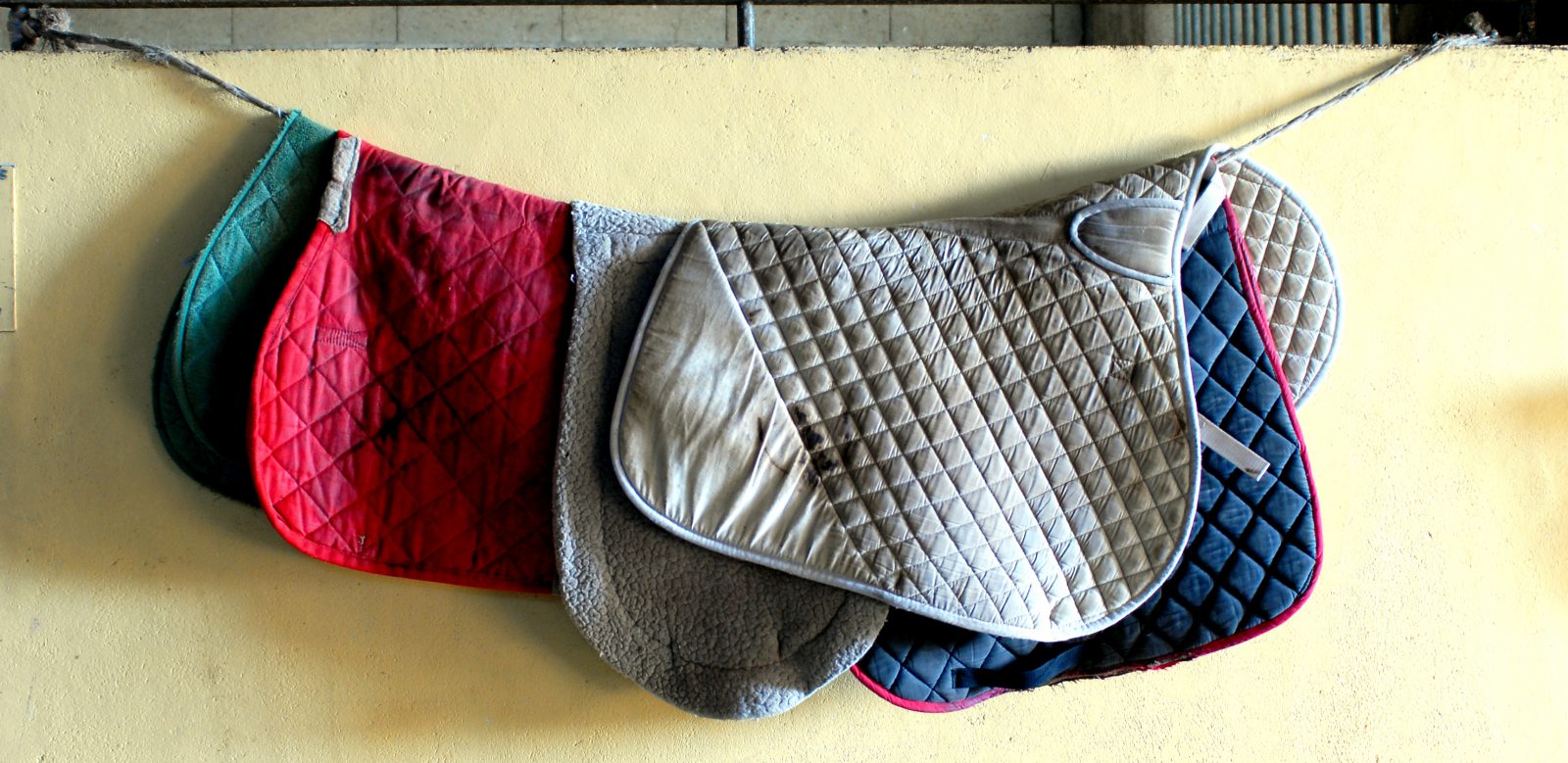 Horse Rug drying solutions for equestrian centres Drying Rooms UK