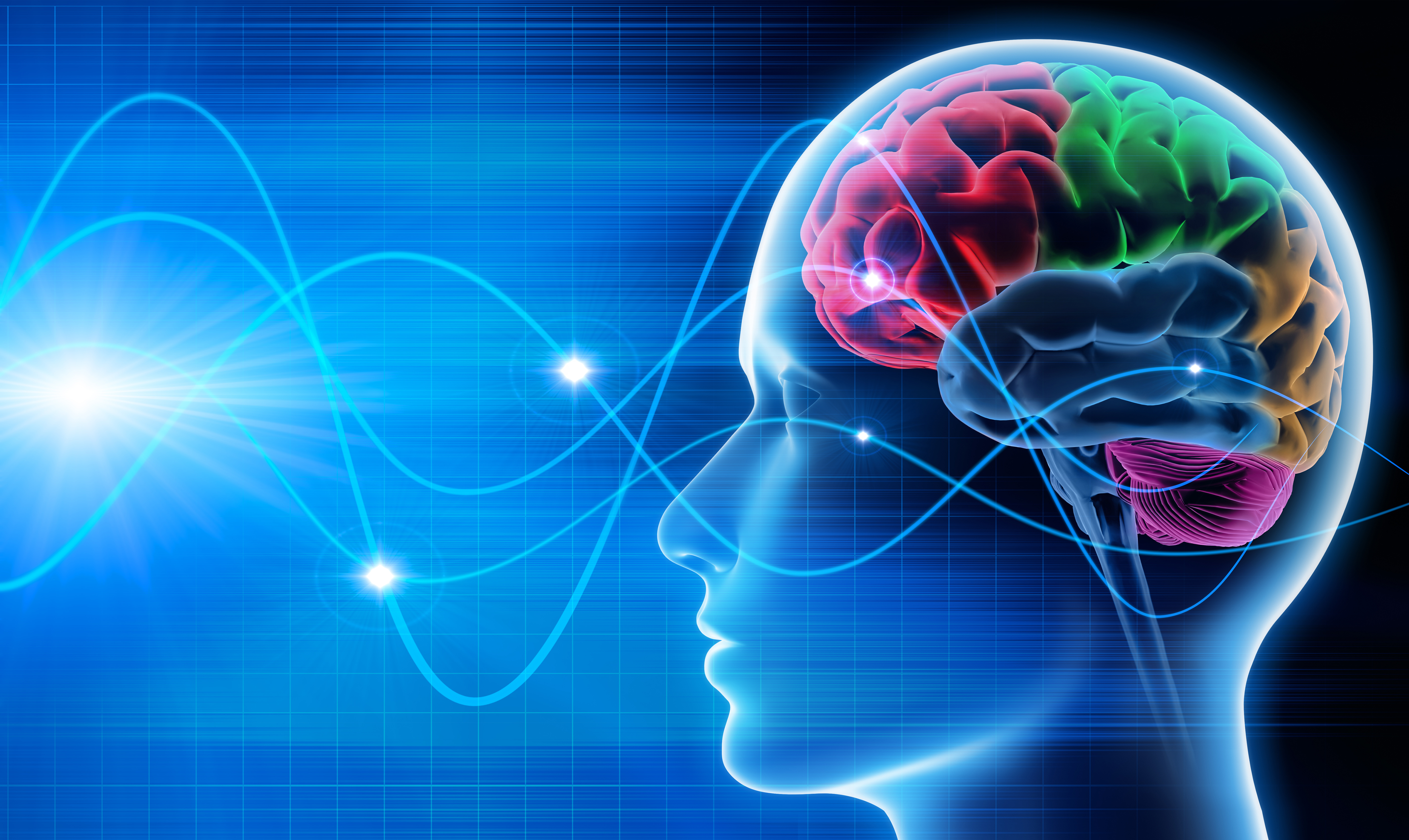 Brain Map & Neurofeedback Dr. Yoshi Brain Map & Neurofeedback Dr. Yoshi