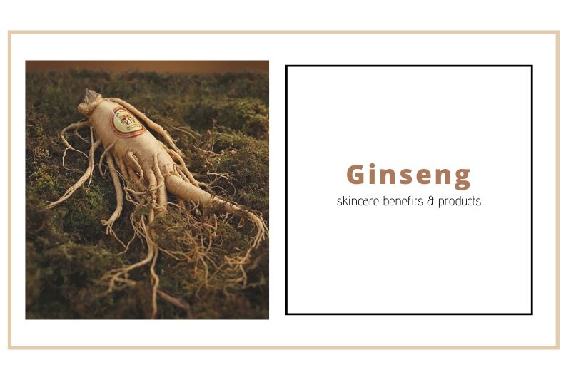 Ginseng—Skin Care Benefits And Products Dry Skin Advice