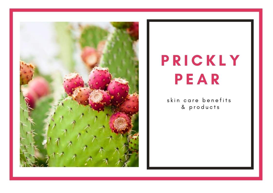 Prickly Pear—Skin Care Benefits and Products Dry Skin Advice