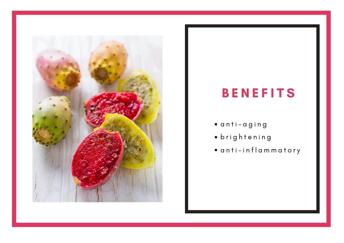 Prickly Pear—Skin Care Benefits and Products Dry Skin Advice