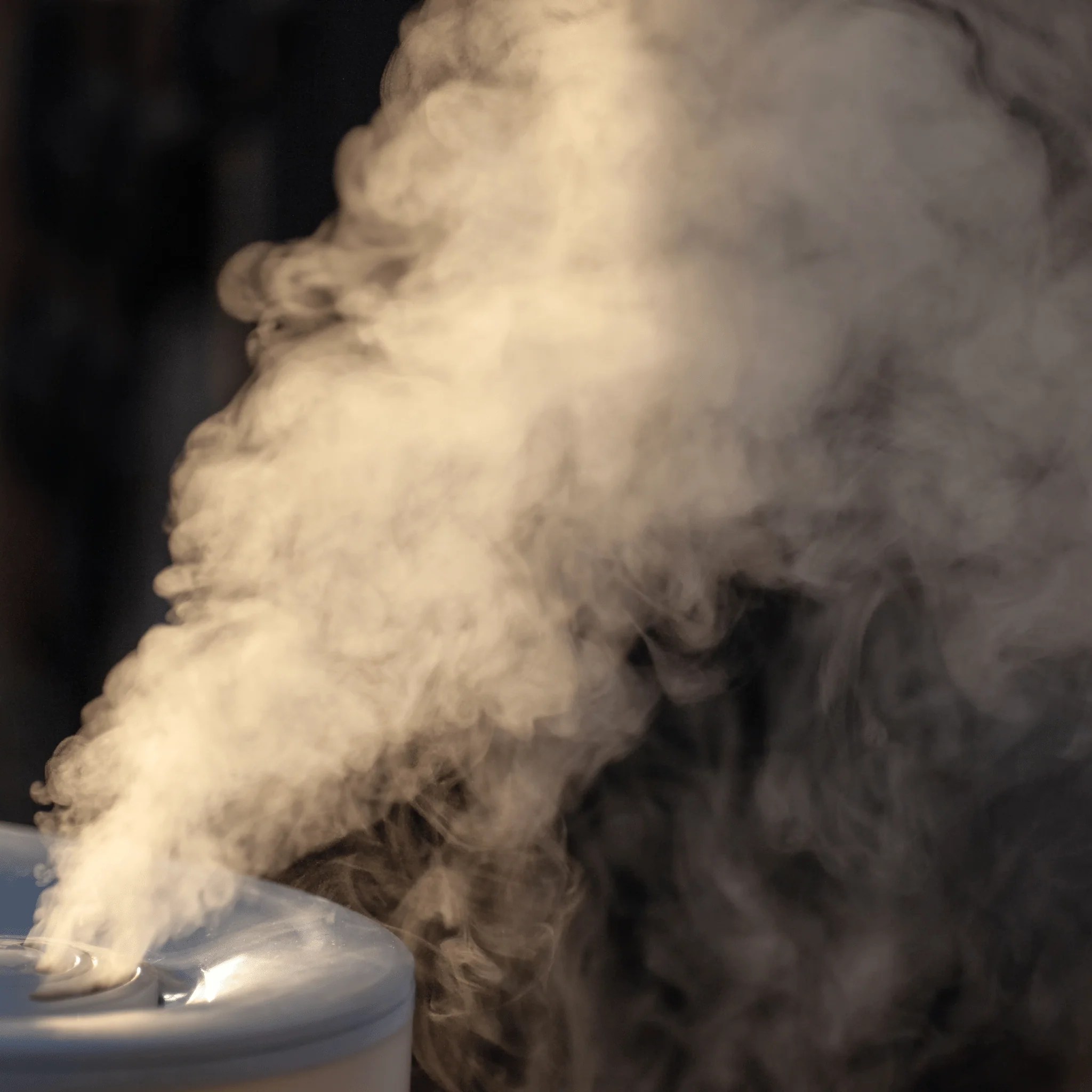 Does A Humidifier Help With Dry Skin? Yes! Dry Skin Love Skincare