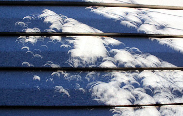 eclipsebambooshadows3.jpg