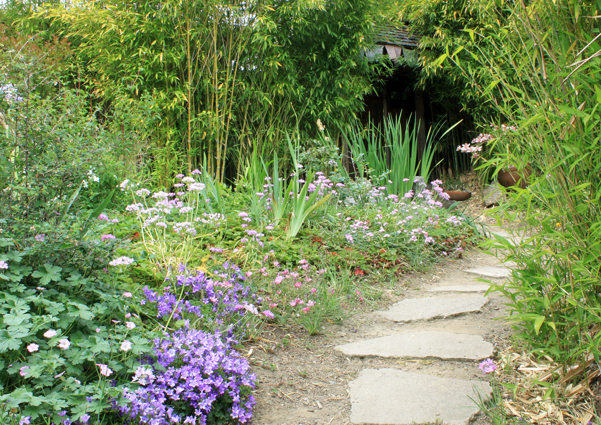 DryStoneGarden » plants