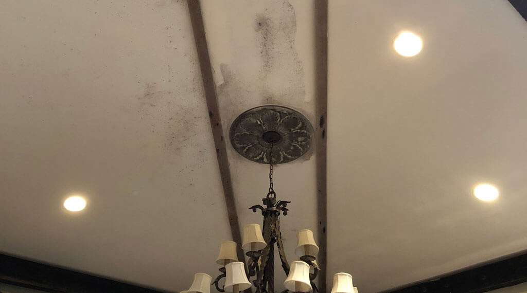 Mold Dry Tech Waterproofing Solutions