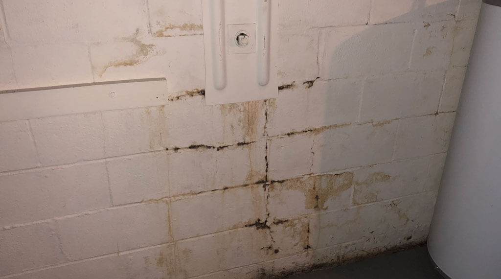 Mold Dry Tech Waterproofing Solutions