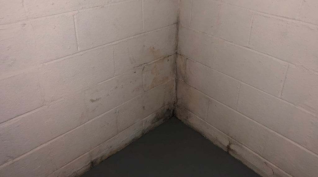 Mold Dry Tech Waterproofing Solutions