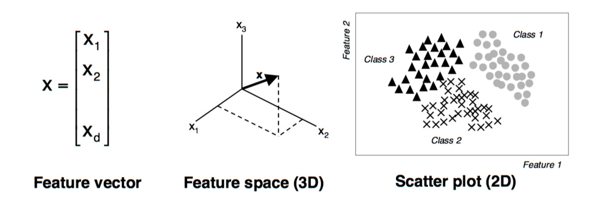 Feature Vector Brilliant Math Science Wiki