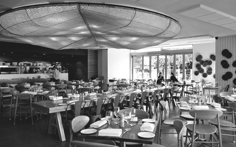 DS17 Wild Sage [Cammeray]