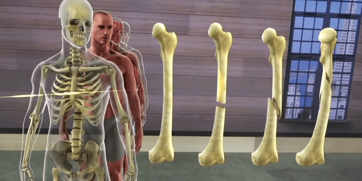 Will virtual reality kill off the cadaver? • The Medical Republic