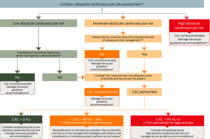 Calcium score gets cautious backing from Heart Foundation • The Medical