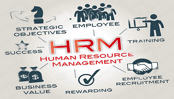 Pelatihan Advanced Human Resource Management Development Program – Diorama  School Of Banking Pelatihan Advanced Human Resource Management Development Program – Diorama  School Of Banking