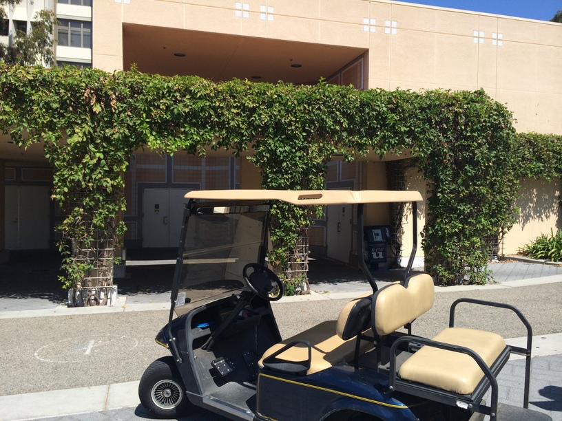 Ring Road Rides UCI Disability Services Center