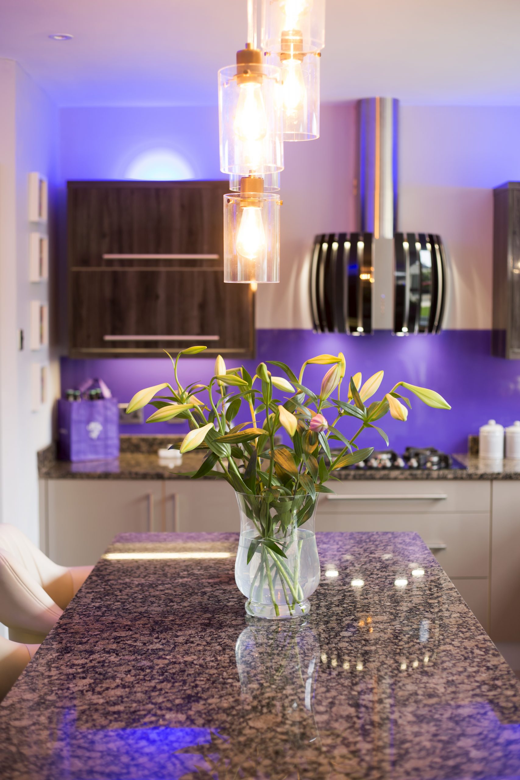 House Extension Park Manor, Castleknock, Dublin DS Construction