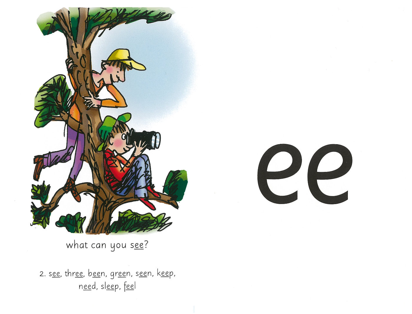 DSF Read Write Inc Speed Sound Cards Set 2/3